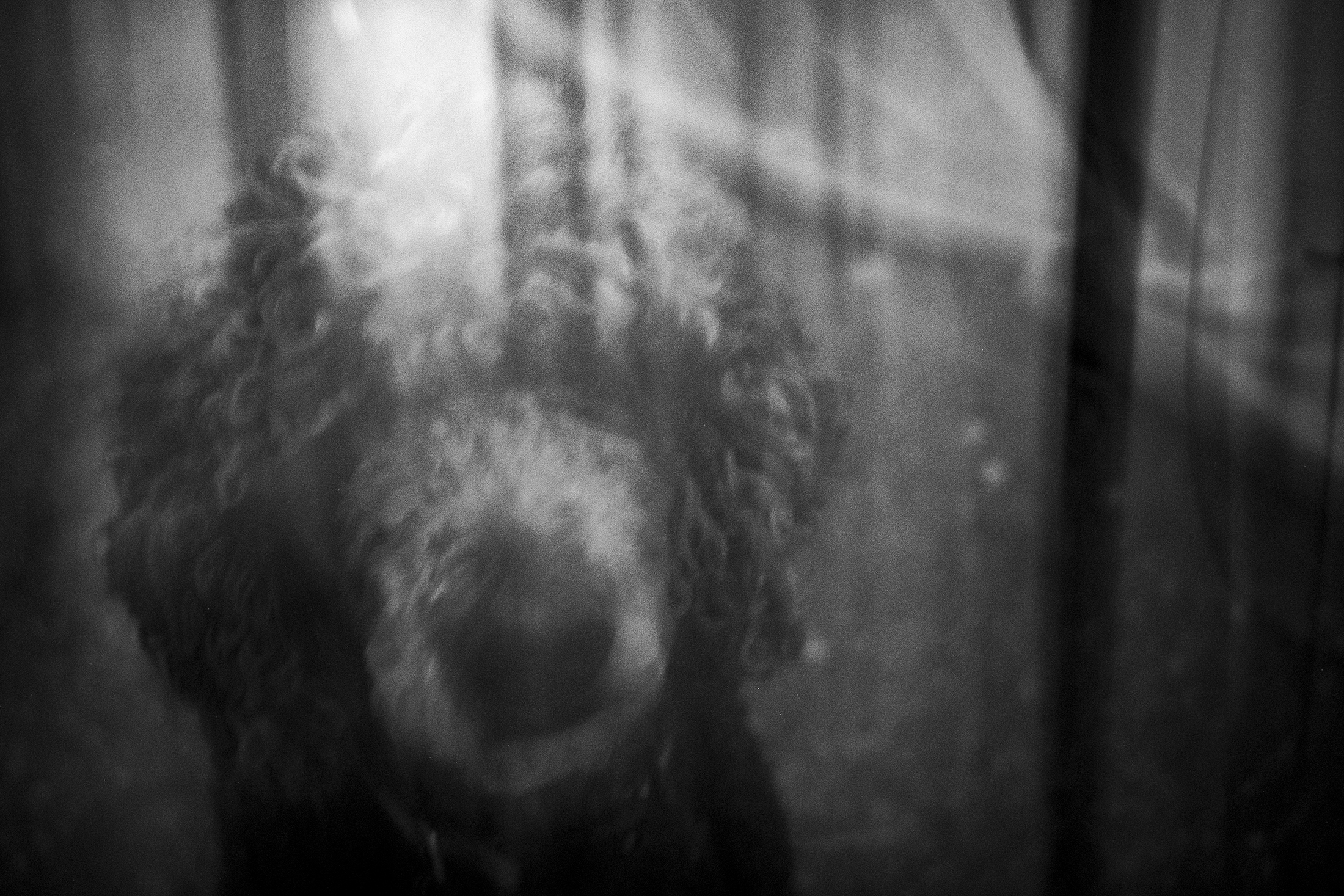 Glimpses of Distance